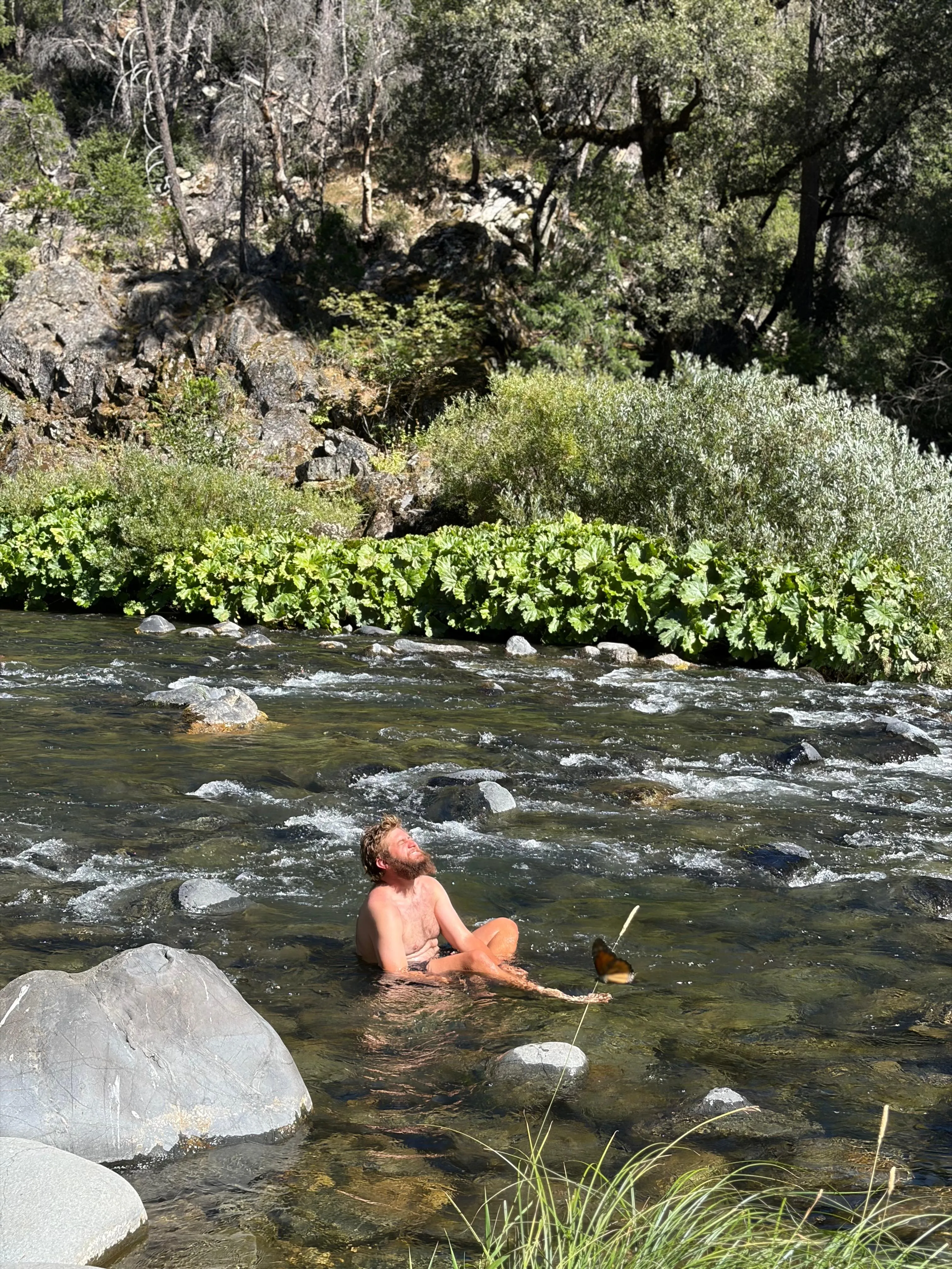 Neil cooling off in a river in Northern California, with a butterfly by his hand